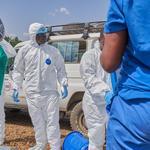 Alerte sanitaire en France : un médecin de retour de RDC testé positif au virus Ebola