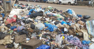 Conakry : condamné pour dépôt d’ordures, Alpha Issiaga Bah écope de 500 000 GNF d’amende