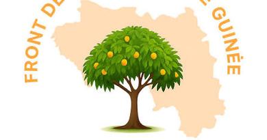 Guinée : Le FRONDEG prêt pour les élections législatives et communales de 2026