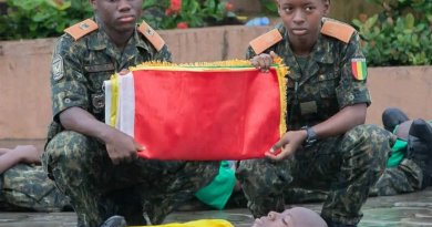 Journée du drapeau : la Guinée célèbre son emblème national