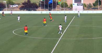 Amical : La Guinée s'impose face au Niger 2 buts à 1 Amical : La Guinée s'impose face au Niger 2 buts à 1