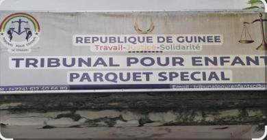 Conakry : le Tribunal pour Enfants réaffirme l’interdiction d’accès des mineurs aux lieux de loisirs
