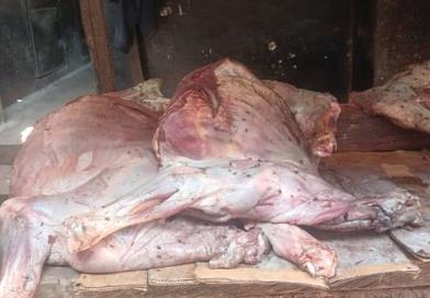 Labé : la justice sévit après la découverte de viande avariée destinée à la vente...