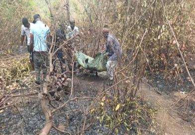 Kindia : une tradipraticienne perd la vie dans une zone touchée par un feu de brousse à Yeintè...