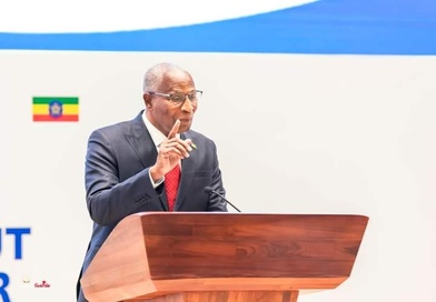 Éthiopie : le Premier ministre guinéen Amadou Oury Bah participe à la conférence internationale « Un monde sans faim » à Addis-Abeba....