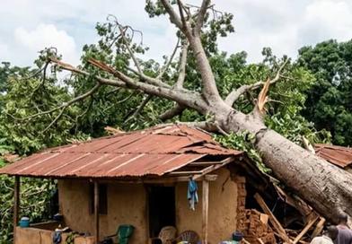 Boffa : une nuit de tempête emporte trois vies dans une même famille...
