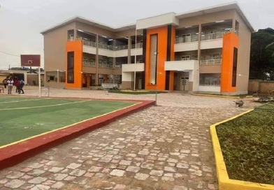 La nouvelle école de Dixinn baptisée école primaire Diawadou Barry...