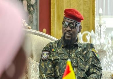 Gouvernement de la Cinquième République de Guinée : 20 membres nommés...