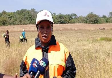 Kankan : Moisson de 50 hectares de riz par Nany Sabougnouma...