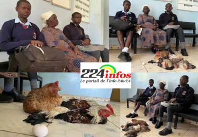 NIGERIA: Une grand-mère du nom de Mani Pavan a apporté six poulets vivants dans une école afin de régler les frais de scolarité de sa petite-fille....