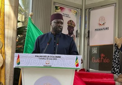 Sénégal - Guinée, une nouvelle diplomatie basée sur le respect fraternel (Macka Ndenda Bah)...