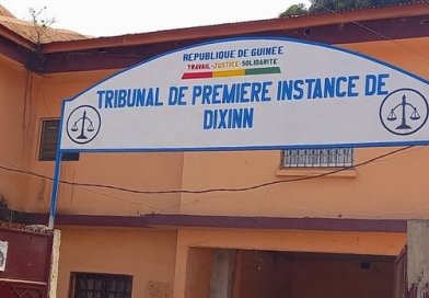 Vol à la tire : la défense du sac « accroché au bras » ne convainc pas le tribunal de Dixinn...