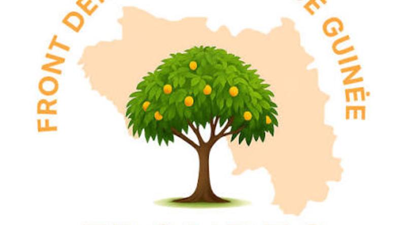 Guinée : Le FRONDEG prêt pour les élections législatives et communales de 2026 Guinée : Le FRONDEG prêt pour les élections législatives et communales de 2026