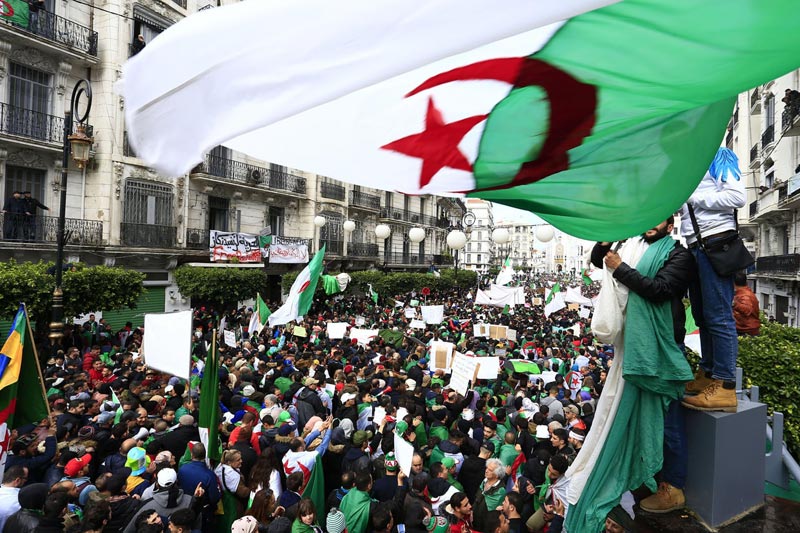 algerie-flag-manif
